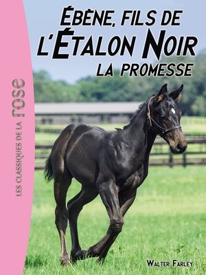 cover image of L'Étalon Noir 21--Ébène, le fils de l'Étalon Noir